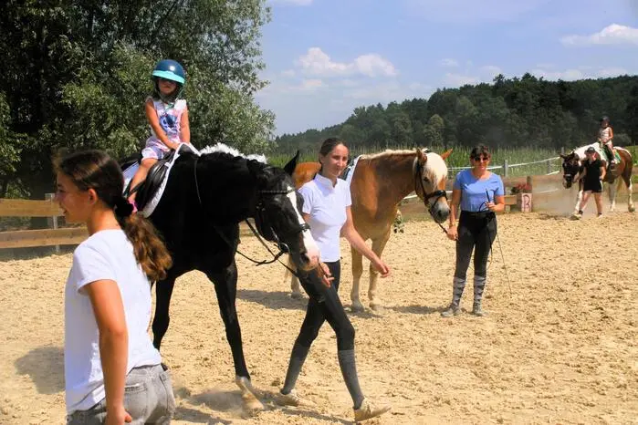 ... gratis Reiten für alle ...