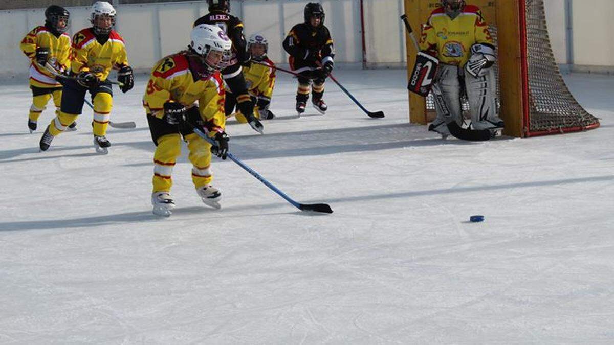 In St. Peter spielen kleine und große Haie