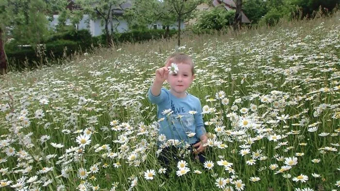 In Pöllau setzte sich Enkerl Fabian mitten in eine Blumenwiese und pflückte Blumen. Dieses tolle Bild wurde von Lesereporterin Johanna Weißenberger sofort festgehalten.