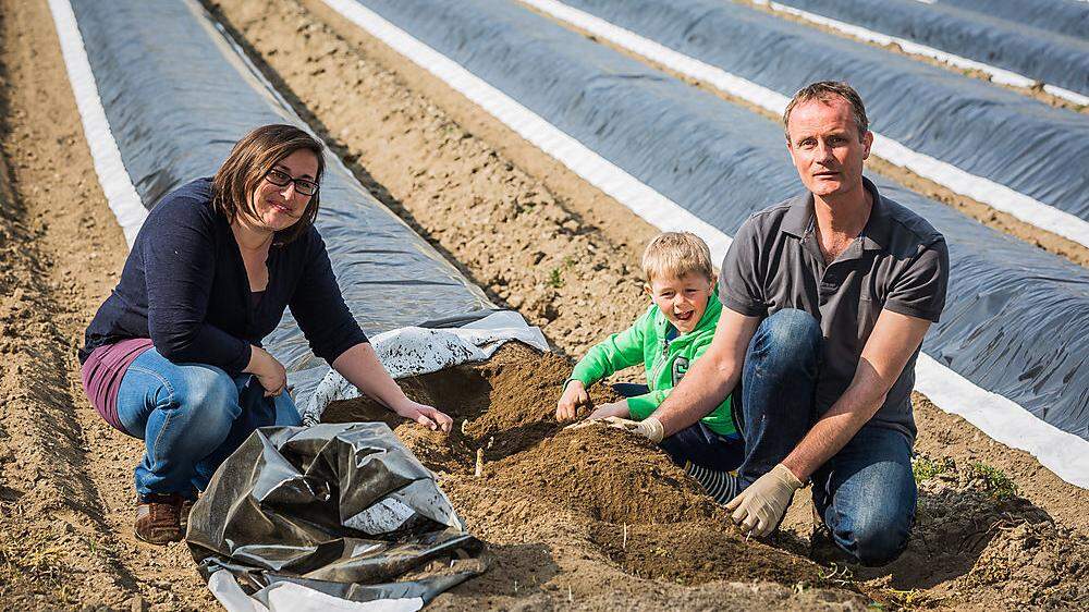 Christiane und Mirko Weber mit Sohn Jonas beim Spargel, der unter Folie reift
