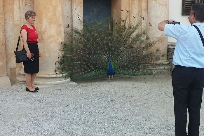 ...und sind dort eine Foto-Attraktion für Touristen.