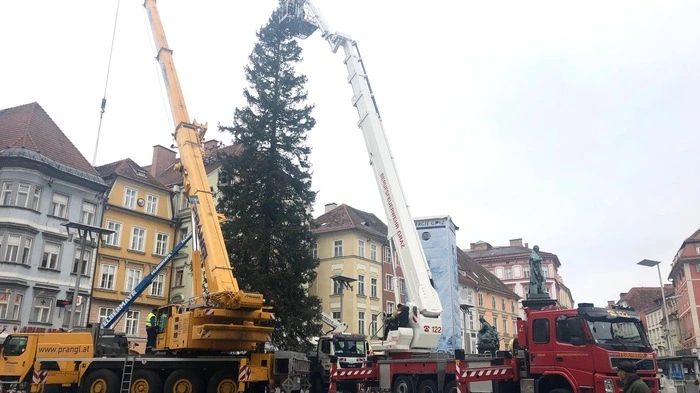 Der Christbaum wurde am 11. November in Graz aufgestellt. Letztes Jahr wurde der Baum am 12. November aufgestellt.