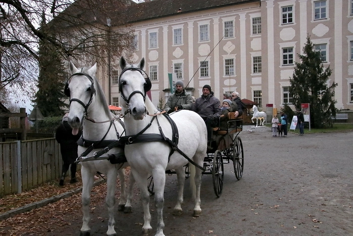 Am Eröffnungstag sorgte ein Bläserensemble des Musikvereins Piber und eine Flötengruppe der Musikschule Voitsberg/Bärnbach für den weihnachtlich-musikalischen Rahmen.