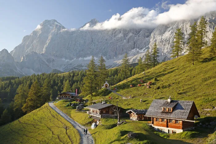 Ausgangspunkt der Tour ist der Parkplatz des Gasthofs Edelbrunn in Ramsau. Der Weg Nr. 9 führt uns durch einen Bannwald mäßig steigend in nördlicher Richtung. Nach etwa 15 Minuten gabelt er sich und wir folgen der Beschilderung zum Jungfrauensteig. Sogleich wird das Gelände steiler und es geht in Serpentinen über Stufen und durch einen Latschenwald aufwärts. Rechts des Weges ziehen gewaltige Schotterkare vom Gamsfeld herunter. Immer wieder kann man hier Gämsen beobachten.