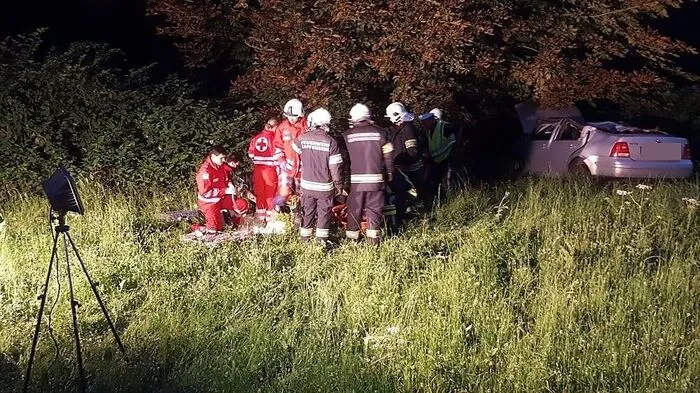 Das Auto wurde von einem Baum gebremst