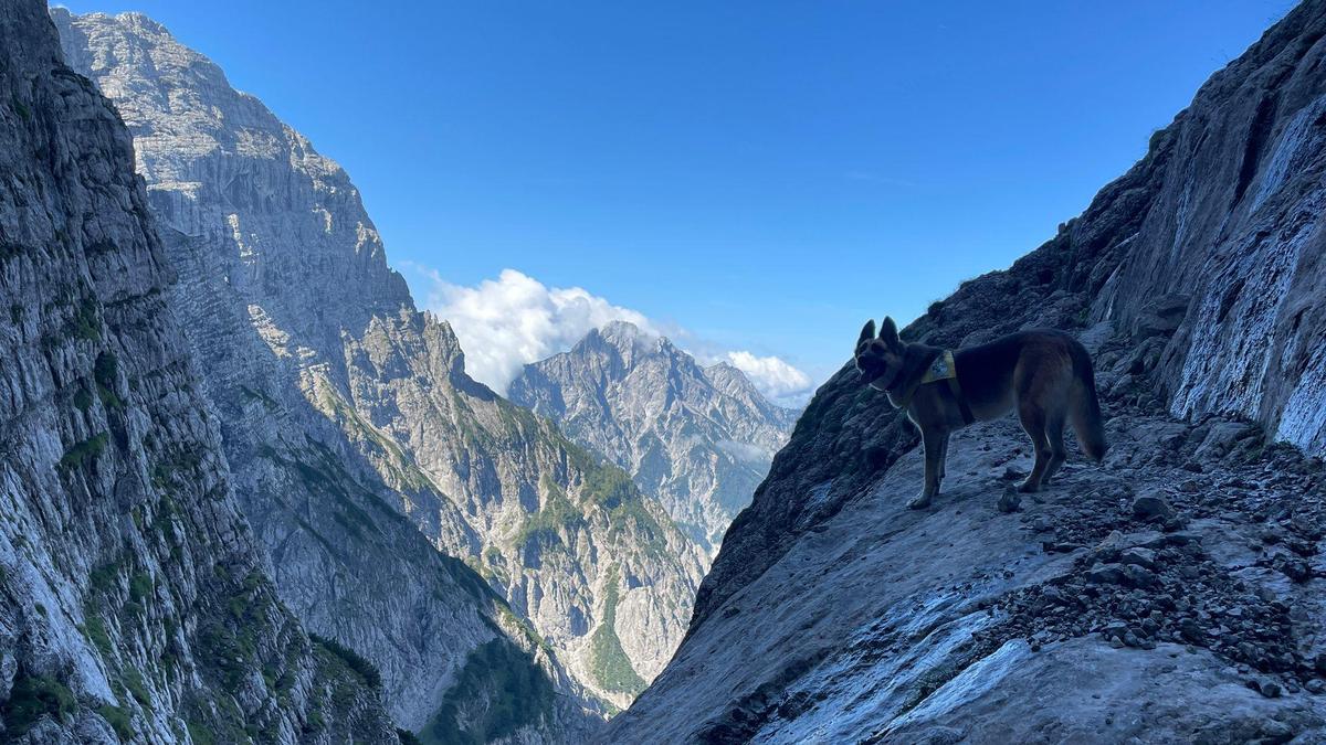 Im Salzburger Flachgau kam es zu zwei tödlichen Abstürzen