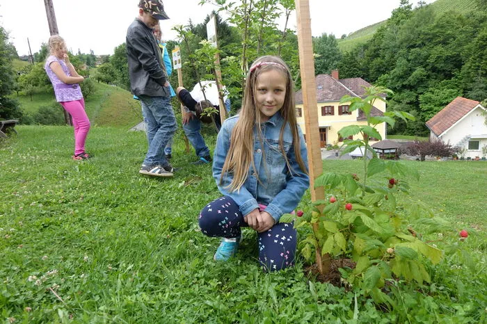 Anhand von zwölf unterschidelichen Stäuchern beobachten die Schüler der dritten und vierten Schulstufe, wie die Jahreszeiten voranschreiten, und welche Auswirkungen der Klimawandel hat.