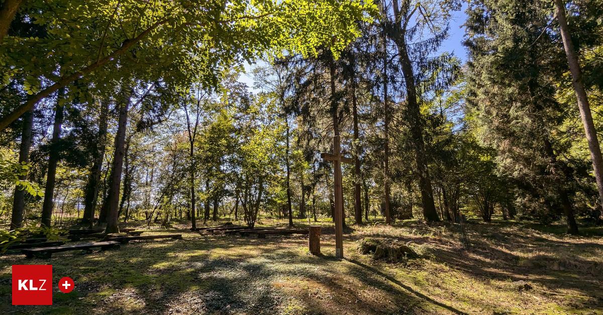Seelenpark-Brunnsee-Der-Mensch-kehrt-im-Waldfriedhof-zur-Natur-zur-ck-