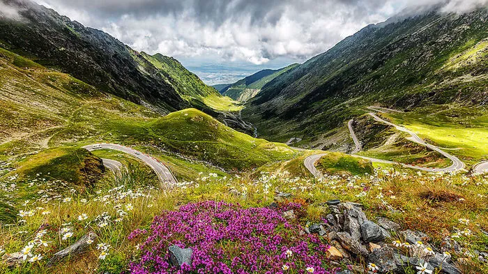 Südkarpaten. Das Făgăraș-Gebirge rückte wegen der fantastischen Panoramastraße - die Transfogarascher Hochstraße - auf die internationale Landkarte. Davor war die  Anonymität der Region in Rumänien Steilvorlage für illegale Abholzung und Jagd gewesen. Heute bemüht sich das Land um Aufforstung, Erholung der Tierbestände und einen Nationalpark. Die Einnahmen des nachhaltigen Tourismus vor Ort fließen in die Wiederherstellung des Ökosystems.