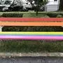 Die in den Farben Rot, Orange, Gelb, Grün, Blau und Violett lackierte Sitzbank lädt am Weiherplatz zum Verweilen ein