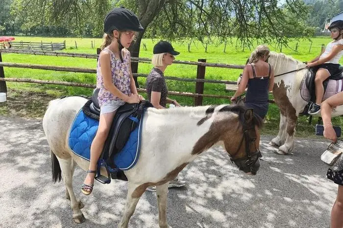 Von lustigen Spielen über eine Bastelecke, ein Quiz und eine Zaubershow bis hin zu Haflinger- und Ponyreiten: Das Programm war vielfältig.