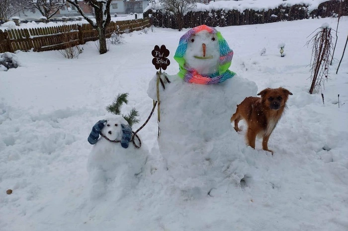 Hund "Herbert" mit seinem Doppelgänger und "Schneefrauerl" in Mautern