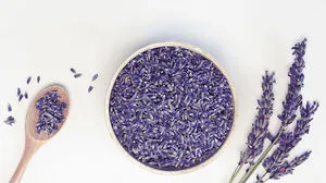 Auf Cannabis und Edelweiß folgt der Lavendel als Arzneipflanze des Jahres