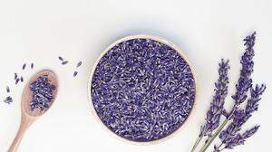 Auf Cannabis und Edelweiß folgt der Lavendel als Arzneipflanze des Jahres