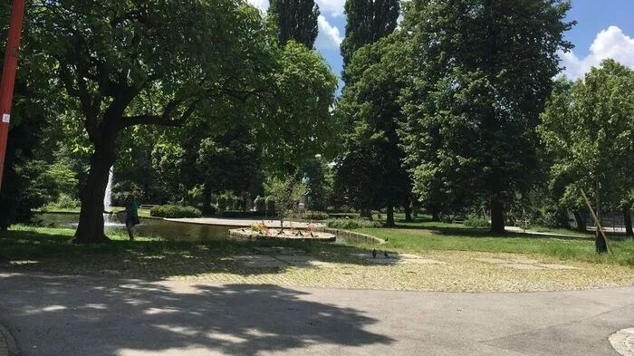 Ab in den Schatten! Oder (wenn möglich) ins Schwimmbad- es wird wieder heiß, sehr heiß