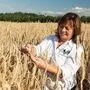 Das Korn vom eigenen Feld wird am Hof gemahlen und zu frischem Brot verarbeitet