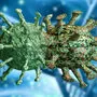 Virus-Mutationen treten häufig auf