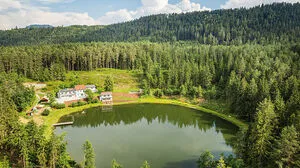 Der Haidensee ist eingebettet in ein großes Waldgebiet