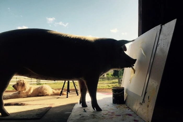 Dass das süße Schwein Herz hat, beweist es am Trog wie im Atelier.