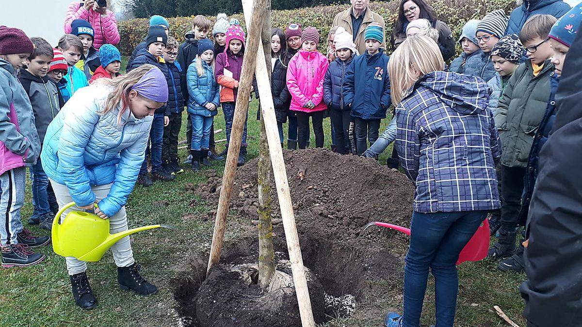 Vor allem Kinder und Schüler pflanzten Bäume 