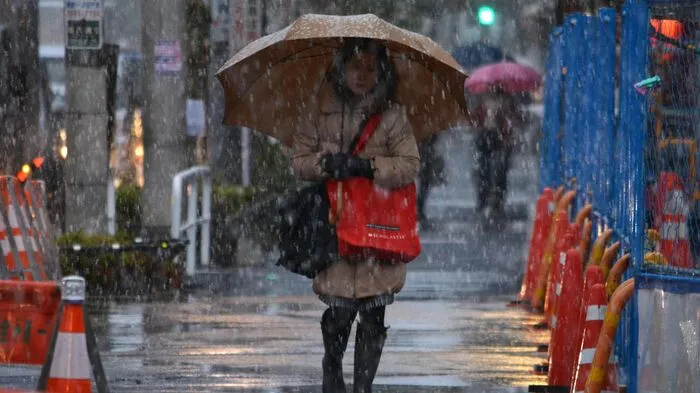 In Tokio hat es am Donnerstag (24. 11.2016) zum ersten Mal seit 54 Jahren in einem November geschneit.