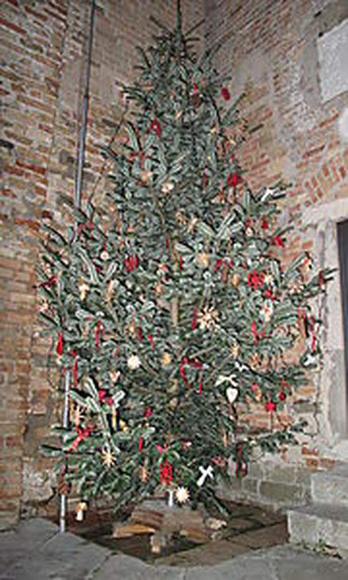 Diesen Christbaum brachte die obersteirische Delegation mit, er wurde vor der Basilika in Grado aufgestellt