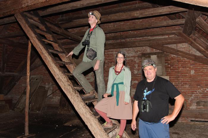Bernard Wieser, Elisabeth Ofner und Primus Presetnik (v. r.) beim Aufstieg zur Fledermauswochenstube. Die Holztreppe ist dick mit Fledermauskot überdeckt