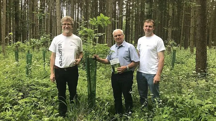Landwirtschftskammerobmann Johann Reisinger, Harald Ofner und Siegfried Wetzelberger vom Waldverband (v.l.)