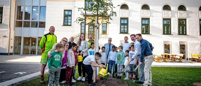 Die ersten drei der 500 Bäume wurden beim Bildungscampus beim Stadtpark gepflanzt