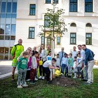 Die ersten drei der 500 Bäume wurden beim Bildungscampus beim Stadtpark gepflanzt
