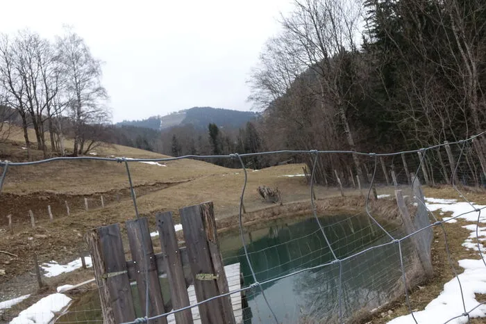 Rund 250.000 Liter Wasser stellt er zur Verfügung.