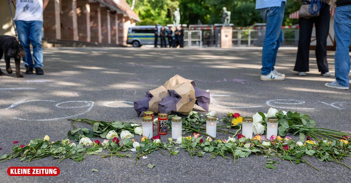 Nuremberg Zoo: Director expects further animal killings