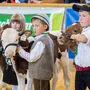 Die Jubiläumsschau beginnt traditionell mit dem Bambinibewerb, wo die kleinsten Jungzüchter ihr Können zeigen