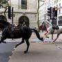 Völlig verstört galoppierten die Pferde durch die Londoner Innenstadt