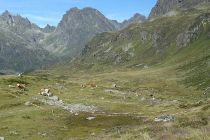 Auch der Montafoner Dialekt "Muntafunerisch" wurde in die Liste der bedeutsamen Brauchtümer aufgenommen.