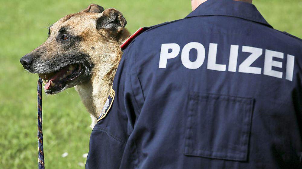 Nicht angeleint war ein Polizeihund, als er zubiss (Symbolfoto)