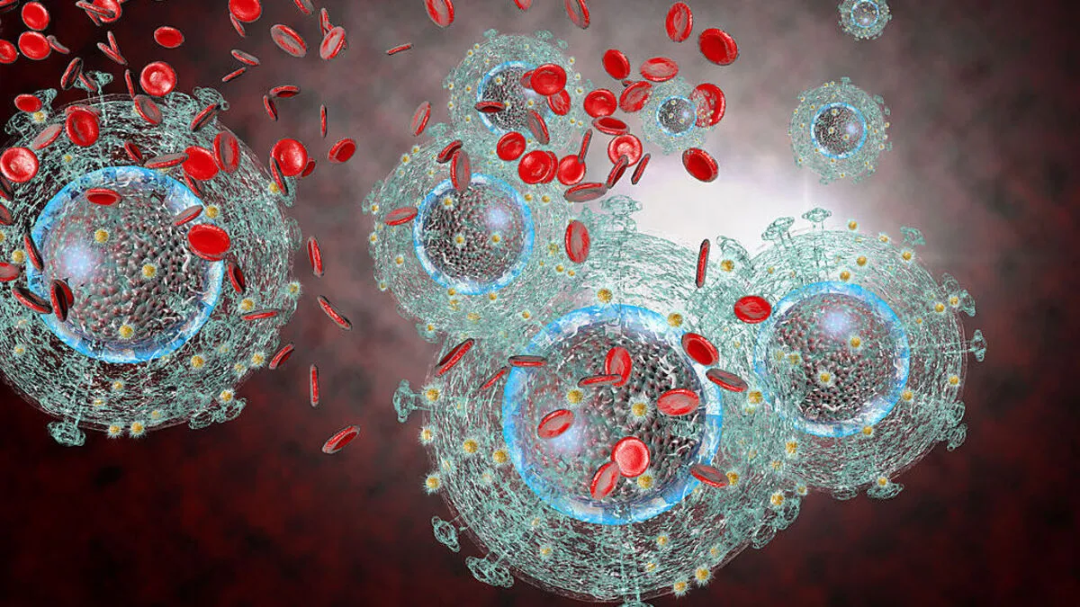 Der HIV-Virus dringt in Körperzellen ein und baut sein Erbgut in das menschliche Erbgut ein