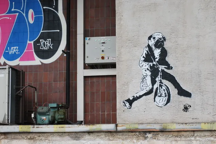 Klicken Sie sich durch die weiteren Fotos von Bauers Werken sowie Graffitis von anderen Künstlern, die in der Hafengalerie "Mural Harbor" in Linz zu sehen sind!