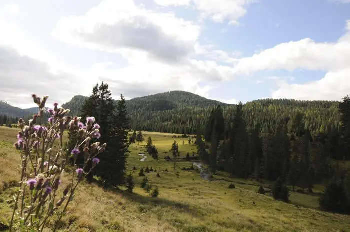 Flattnitz, Sommer, Schigebiet, Wandergebiet, langlaufgebiet, Hohebene, Hochplateau, Alm, wandern, Wanderer, Nockberge, Berge, Gurktal, Gemeinde Glödnitz