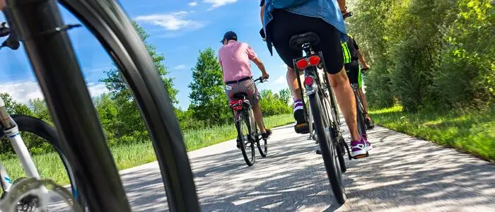 Mehrere Radfahrer sind auf einem Radweg im Grünen unterwegs