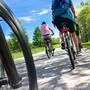 Mehrere Radfahrer sind auf einem Radweg im Grünen unterwegs