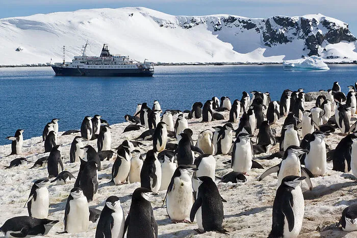 Die Antarktis bildet die größte Eiswüste der Erde und neben Forschern und Fischern zieht es auch immer mehr Touristen auf Kreuzfahrtschiffen in diese durch den Klimawandel so massiv bedrohte Region. Die Emissionen und Rußpartikel von Schiffen und Flugzeugen für An- und Abreise beschleunigen das Schmelzen der Eismassen.