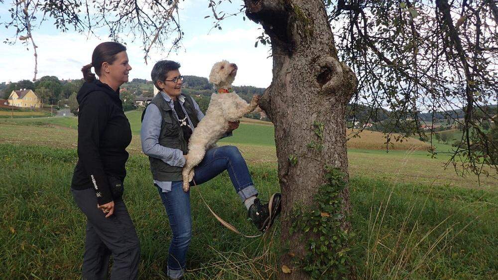 Andrea Bund, Gabriele Sauseng und Hund „Juma“ auf der Suche nach dem Juchtenkäfer 