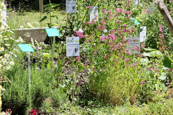 Im 1200 Quadratmeter großen Kräutergarten am Samstag gesehen wurden unter anderen Bürgermeister Andreas Grabuschnig, Ilmar Tessmann, Obmann des Fremdenverkehrsvereines Eberstein, FNL-Bundesobfrau Sieglinde Salbrechter, „Schüssler Salze“-Expertin Katrin Giermaier sowie Erika Grote, Referentin der Kräuterakademie. 