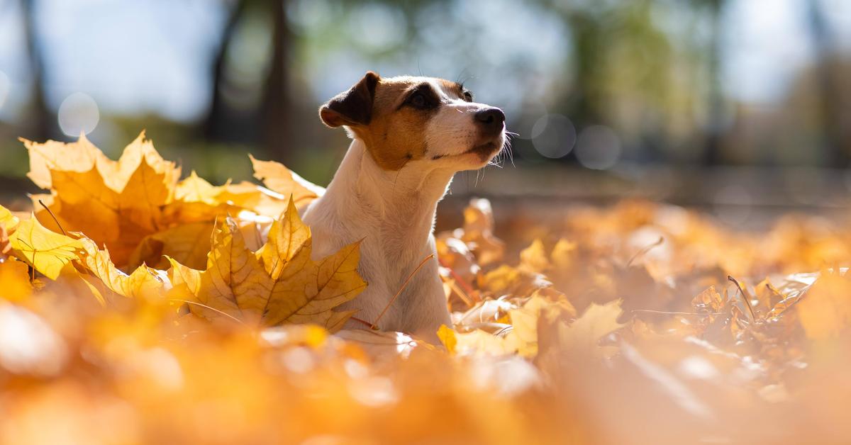 Late summer is knocking on the door in Styria