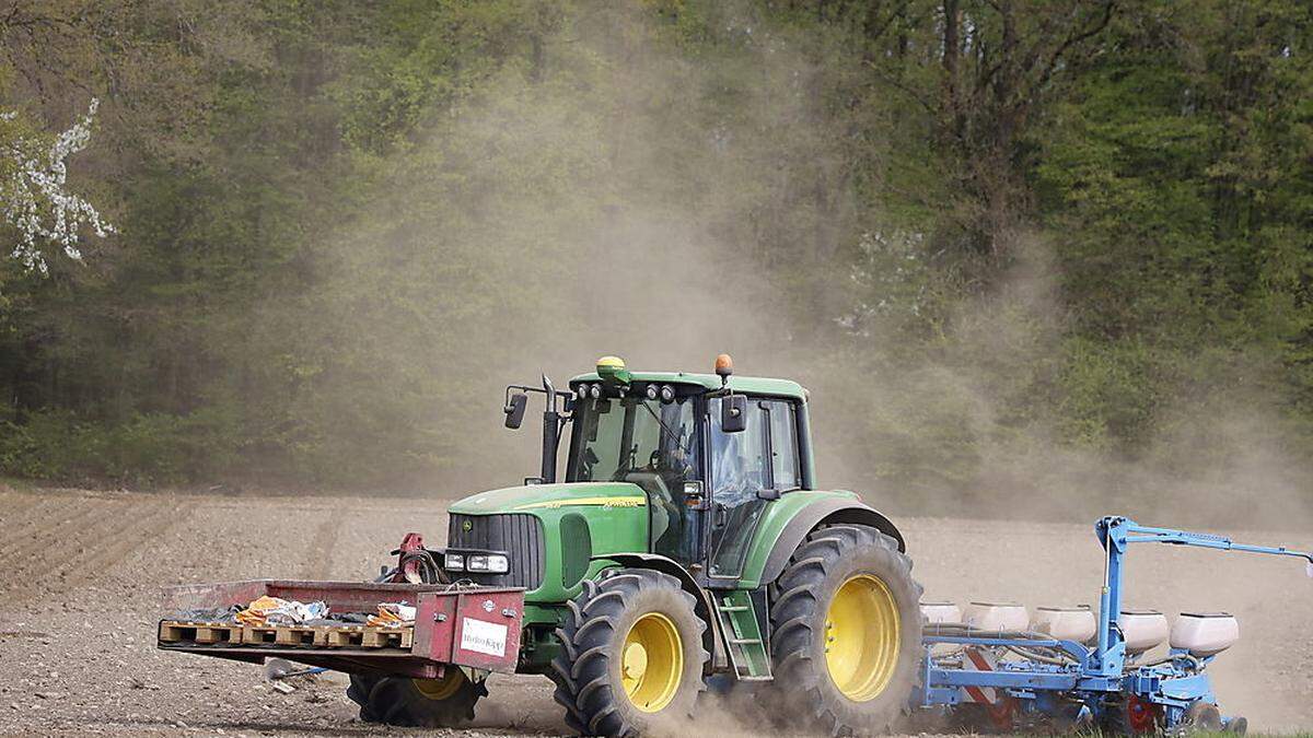 Futterknappheit befürchten die Mölltaler Bauern aufgrund der extrem trockenen Böden