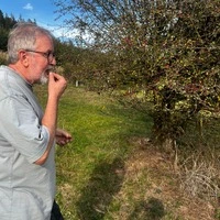 „Nicht ins Gras beißen“: Vereinsobmann Christian Zöscher kostet von den Beeren des Weißdorns