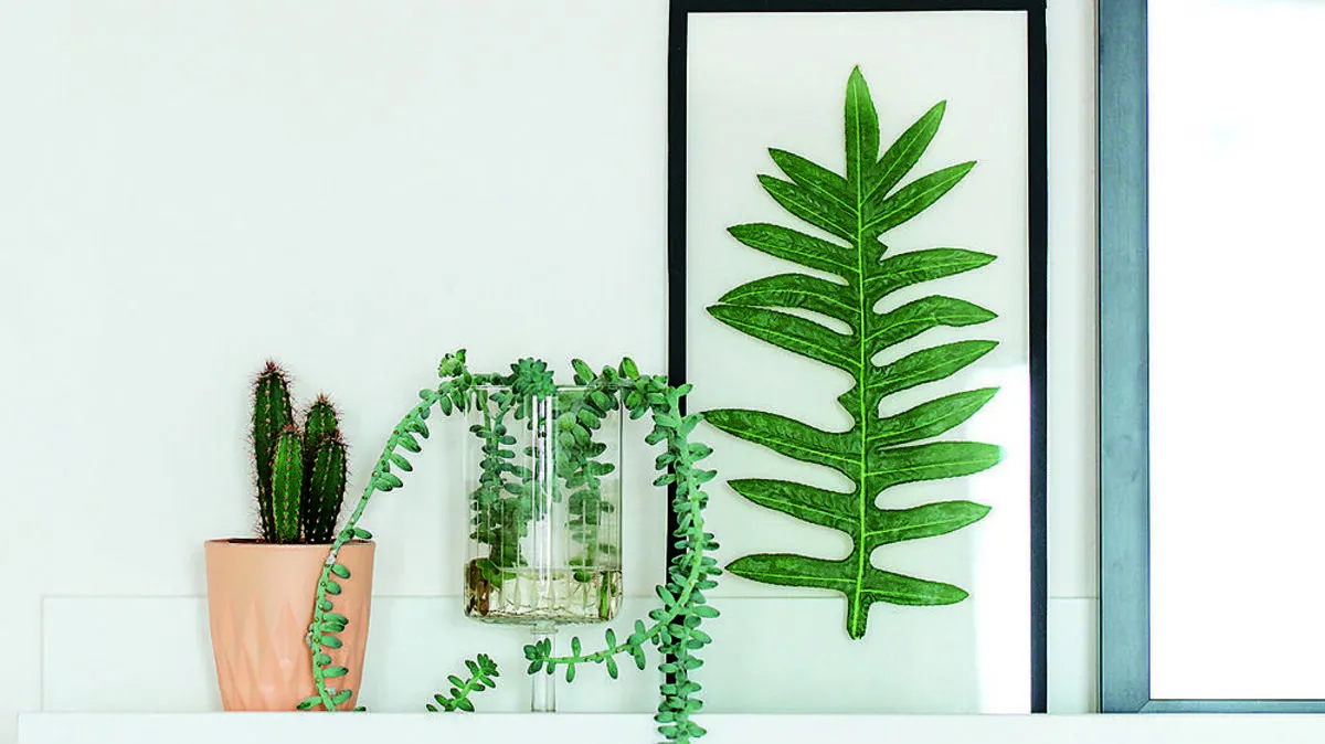 Indoor-Garten par excellence: Wer „grün“ wohnt, wird es bald nicht mehr missen wollen