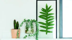 Indoor-Garten par excellence: Wer „grün“ wohnt, wird es bald nicht mehr missen wollen