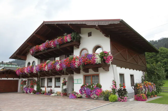 5 Flora: Installation, Astrid Erlbacher, Schladming